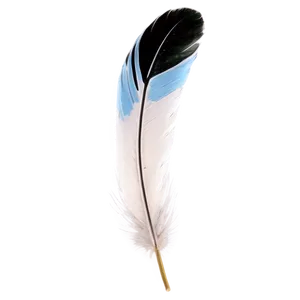 Realistic Bird Feather Png 46 PNG image