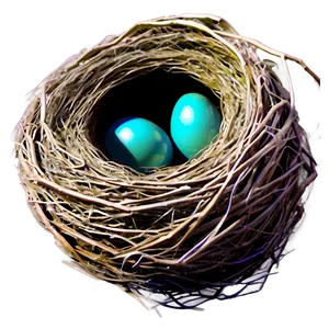 Realistic Bird Nest PNG Nvl PNG