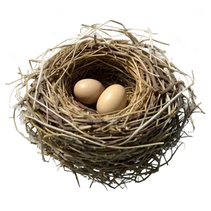 Realistic Bird Nest Png Sug86 PNG image