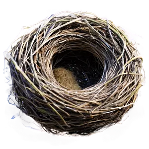 Realistic Bird Nest PNG Vlp