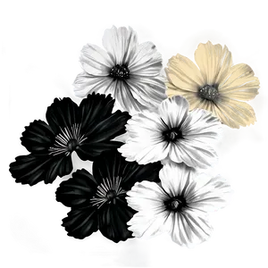 Realistic Black And White Flowers PNG Ayb13 PNG