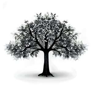 Realistic Black And White Tree Image Png 06252024 PNG image