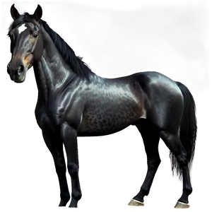 Realistic Black Horse Drawing PNG 06262024