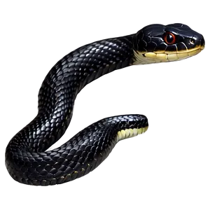 Realistic Black Snake Design Png 06132024 PNG image