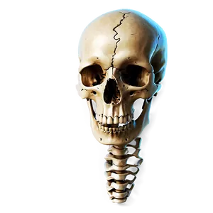 Realistic Bones PNG 12