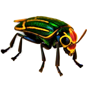 Realistic Bug PNG 15