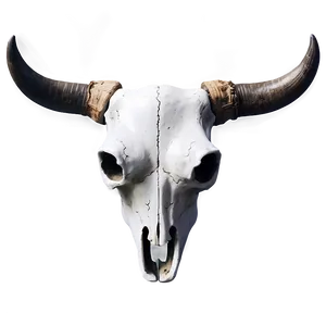 Realistic Bull Skull Png 06122024 PNG image