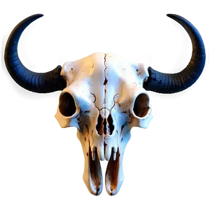 Realistic Bull Skull PNG 06122024