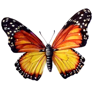 Realistic Butterflies Png Ahx PNG image