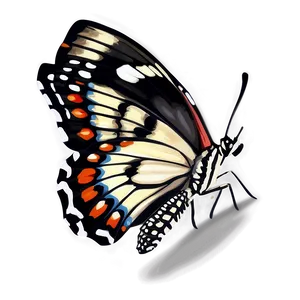 Realistic Butterfly Drawing Png 88 PNG image