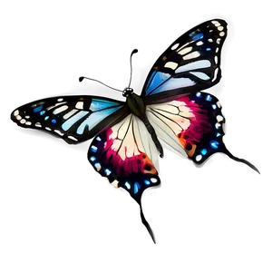 Realistic Butterfly Graphic PNG 48
