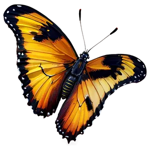 Realistic Butterfly PNG 06262024 PNG