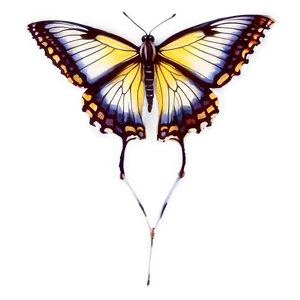 Realistic Butterfly PNG 35 PNG