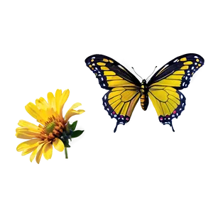 Realistic Butterfly Png 41 PNG image