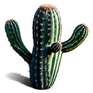Realistic Cactus Png 3 PNG image