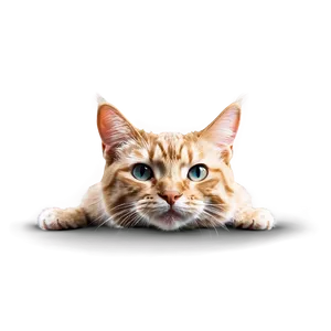 Realistic Cat Ear Illustration Png 06212024 PNG image