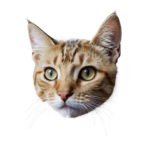 Realistic Cat Head Drawing Png Sgk51 PNG image