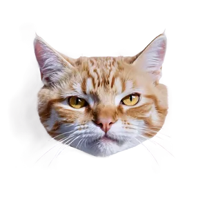 Realistic Cat Head Drawing Png Vpe53 PNG image