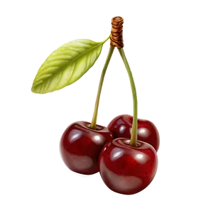 Realistic Cherries PNG 59