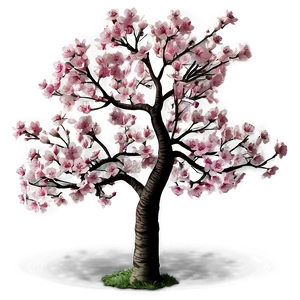 Realistic Cherry Blossom Tree PNG 05242024