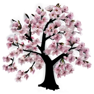 Realistic Cherry Blossom Tree PNG 05242024