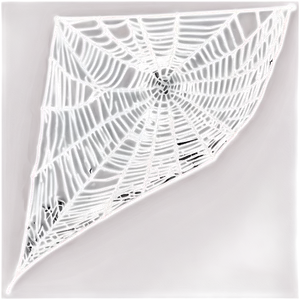 Realistic Cobweb Graphic Png 06132024 PNG image