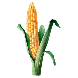 Realistic Corn Stalk Png 06122024 PNG image