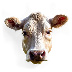 Realistic Cow Head Drawing Png Mex29 PNG image