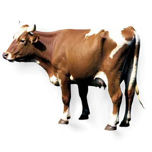 Realistic Cow Png Iib96 PNG image