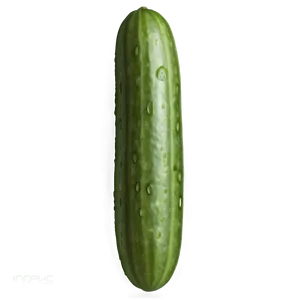 Realistic Cucumber PNG 21 PNG