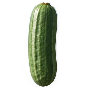 Realistic Cucumber PNG 54 PNG