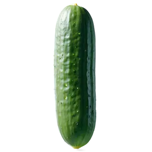 Realistic Cucumber PNG 58 PNG