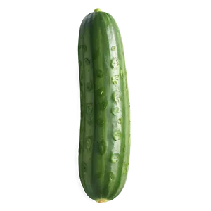 Realistic Cucumber PNG Kfq49 PNG
