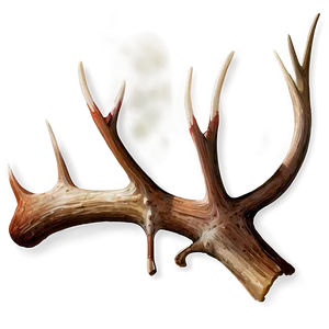 Realistic Deer Antler Drawing Png 06122024 PNG image