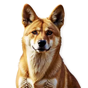 Realistic Dingo Art PNG 06202024