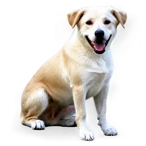 Realistic Dog Transparent Png 60 PNG image