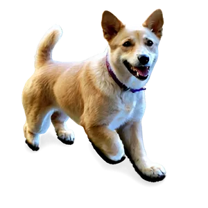 Realistic Dog Transparent Png Awg PNG image