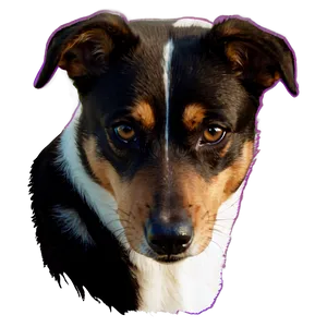 Realistic Dog Transparent Png Qqh PNG image