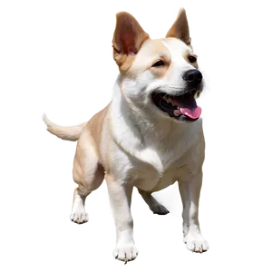 Realistic Dogs PNG 76
