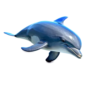 Realistic Dolphin Png 05062024 PNG image