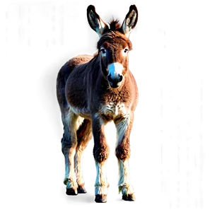 Realistic Donkey Drawing PNG 26