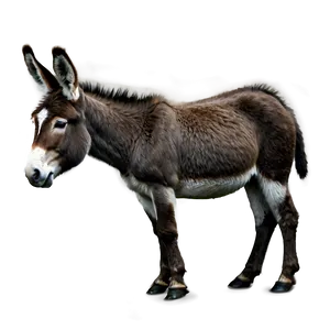 Realistic Donkey Drawing PNG Rac