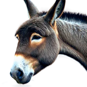 Realistic Donkey Drawing PNG Xul