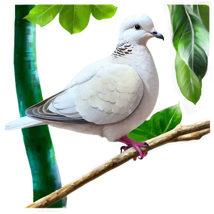 Realistic Dove PNG 05042024