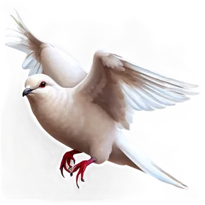 Realistic Dove Png Ktm63 PNG image