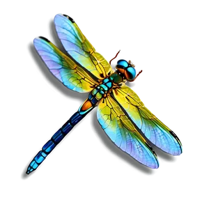 Realistic Dragonfly PNG 05212024
