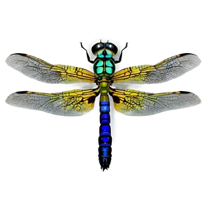 Realistic Dragonfly PNG Jkn55