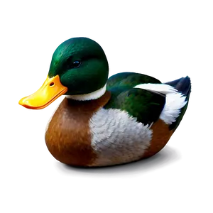 Realistic Duck Png Aep22 PNG image