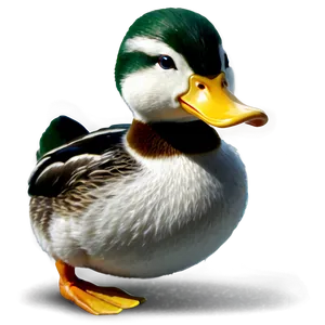 Realistic Duck PNG Tjv