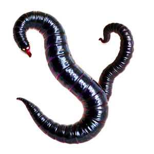 Realistic Earthworm Png 05242024 PNG image